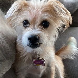 Meet your Posher, Lynn